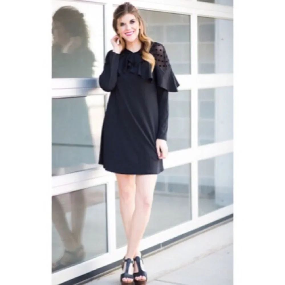 Black Polka Dot Mesh Neck Ruffle Trim A Line Dress